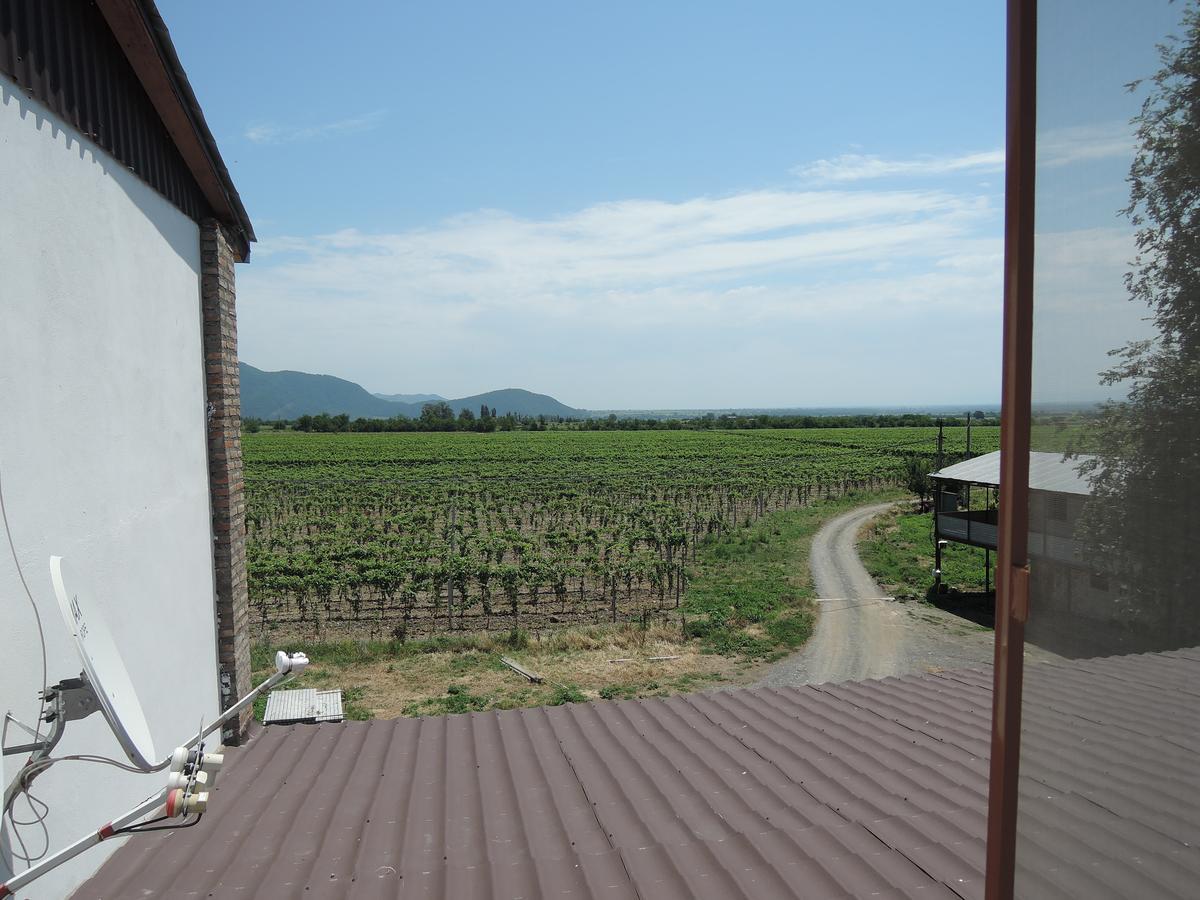 Shaloshvili'S Cellar Hotel Shilda 外观 照片