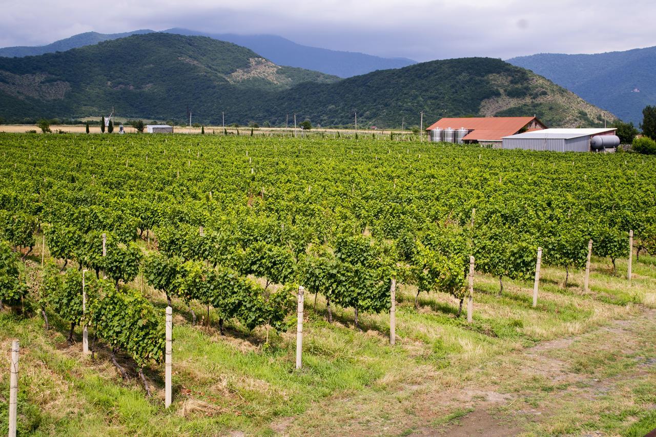 Shaloshvili'S Cellar Hotel Shilda 外观 照片