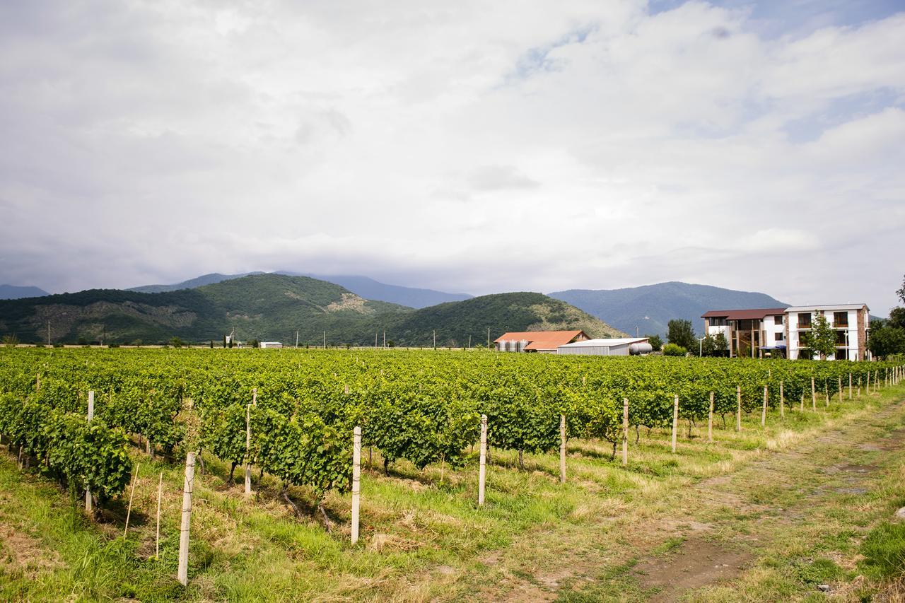 Shaloshvili'S Cellar Hotel Shilda 外观 照片