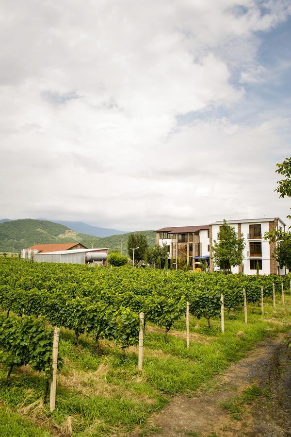 Shaloshvili'S Cellar Hotel Shilda 外观 照片