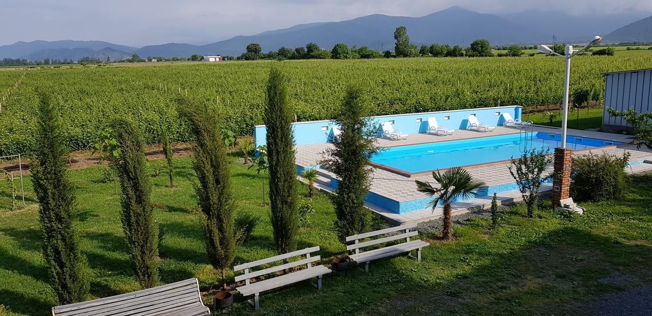 Shaloshvili'S Cellar Hotel Shilda 外观 照片