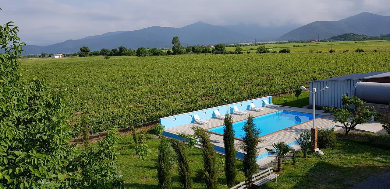 Shaloshvili'S Cellar Hotel Shilda 外观 照片